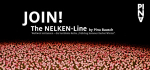 DANCE! The NELKEN-Line  - VOLL SEGNALA