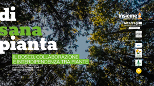 IL BOSCO, COLLABORAZIONE E INTERDIPENDENZA ... - DI SANA PIANTA