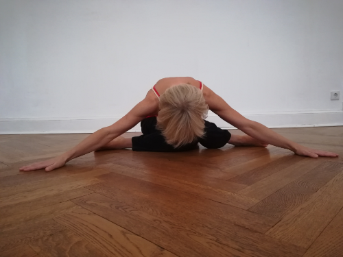 LEZIONE DI VINYASA YOGA  - WORKSHOP